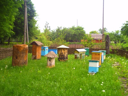 пасіка імені Петра Прокоповича